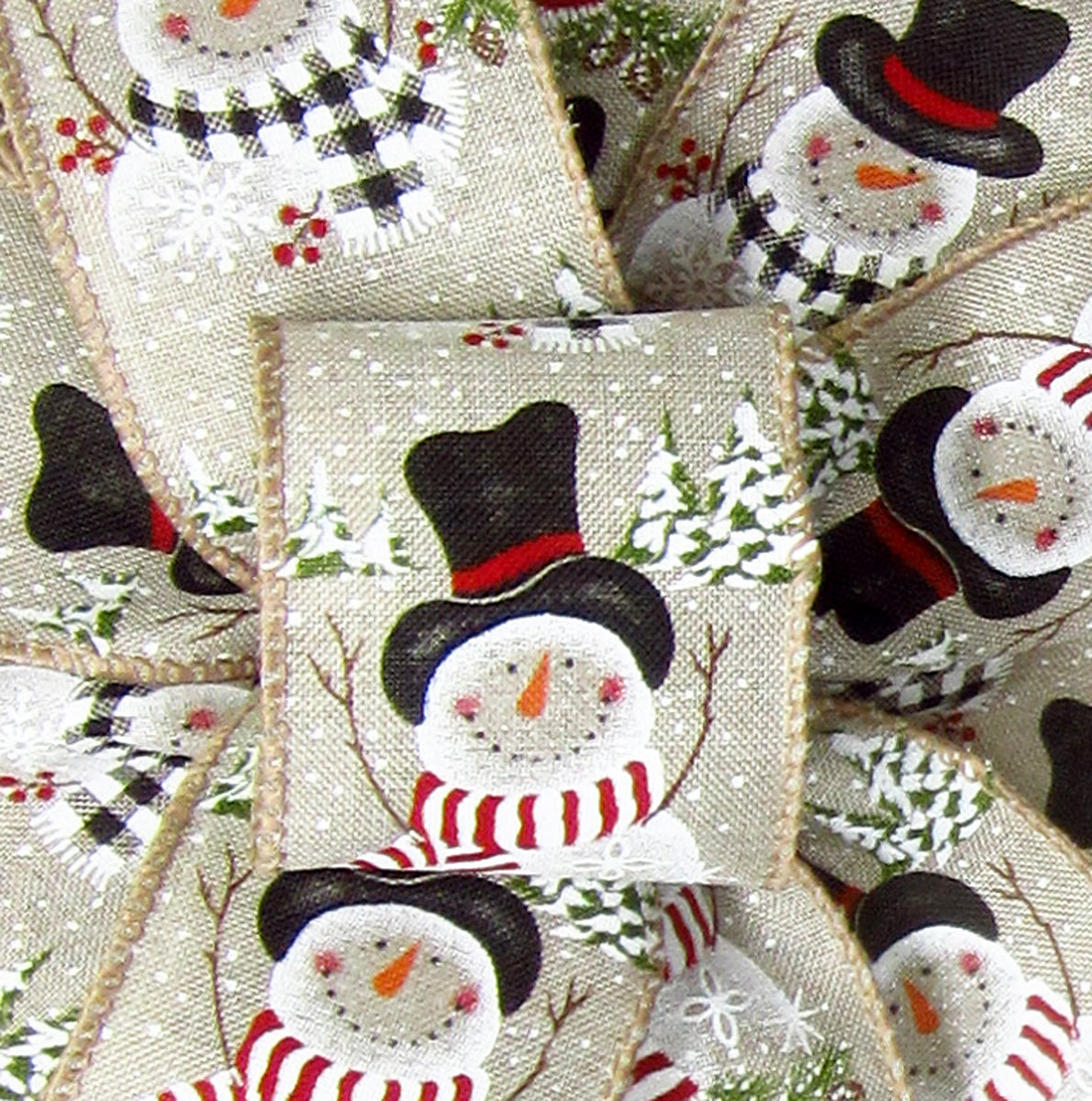 Wired Merry Christmas Ornaments Ribbon (#40-2.5