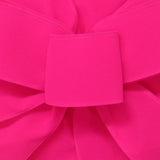 Wired Indoor Outdoor Bright Pink Velvet Ribbon (#40-2.5"Wx10Yards)