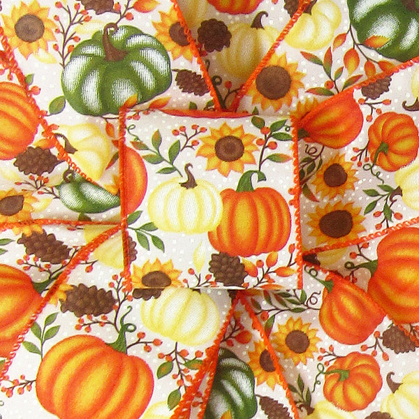 Fall Pumpkin Ribbon - Wired Pumpkins Sunflowers & Rose Hips Fall Ribbon (#40-2.5"Wx10Yards)